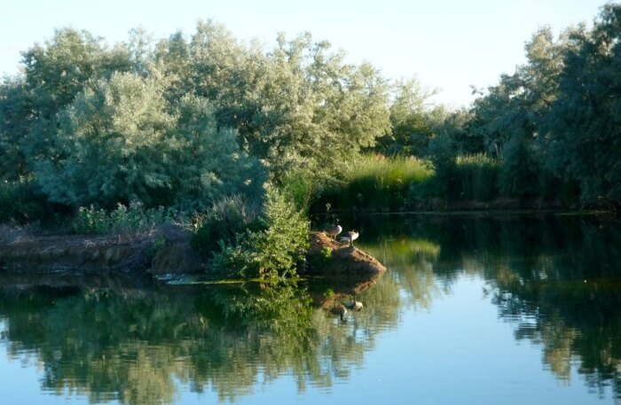 Green Island Pond