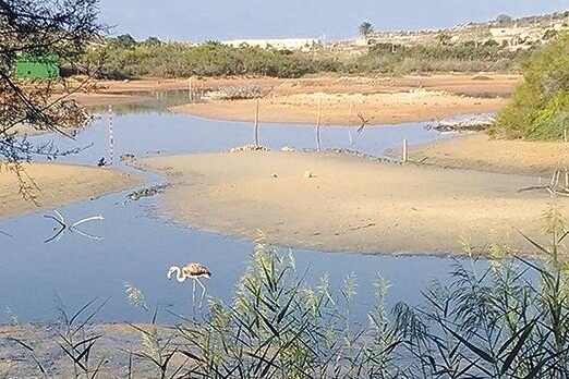 Għadira Nature Reserve