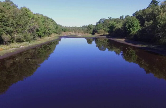 View of Pond