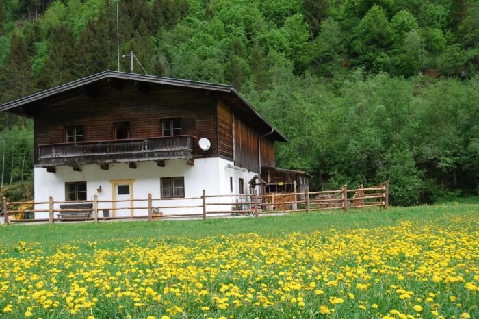 Haus Leo Monika