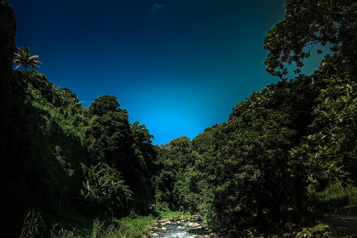 Landscape Tree Beautiful River Mauritius Sky