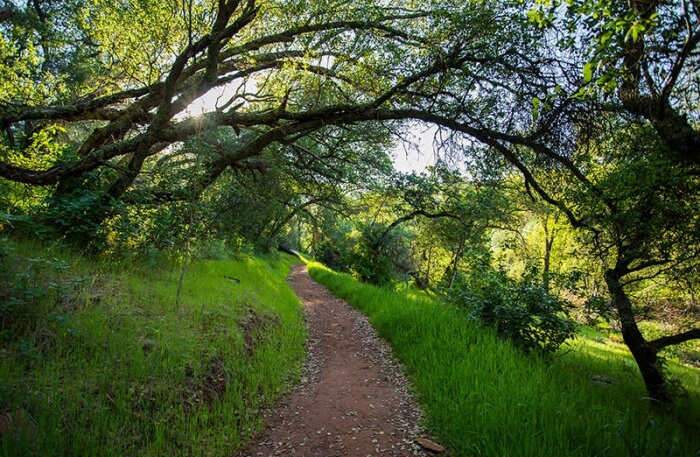 Hidden Falls Regional Park