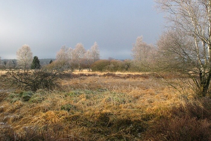 High Fens