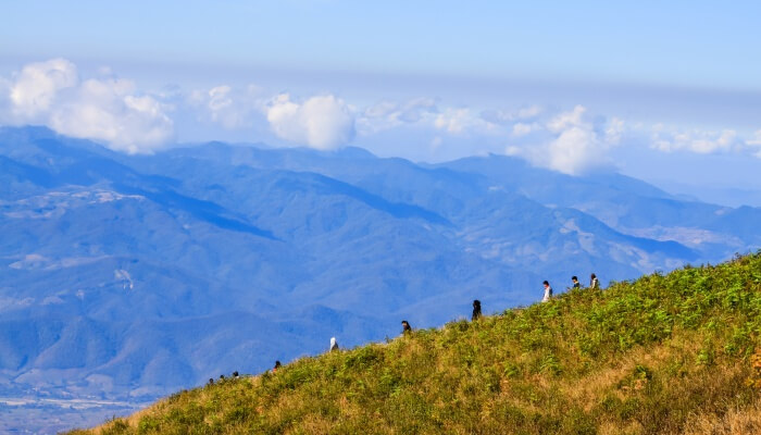 Kew Mae Pan Nature Trail in Doi Inthanon National Park - Chiang