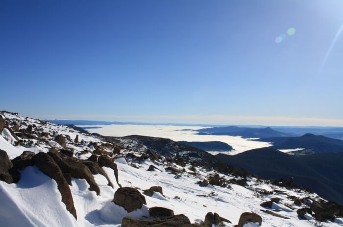 Hike up Mount Wellington