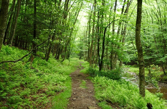 Hiking