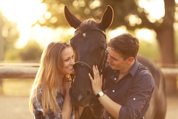 Horse and man