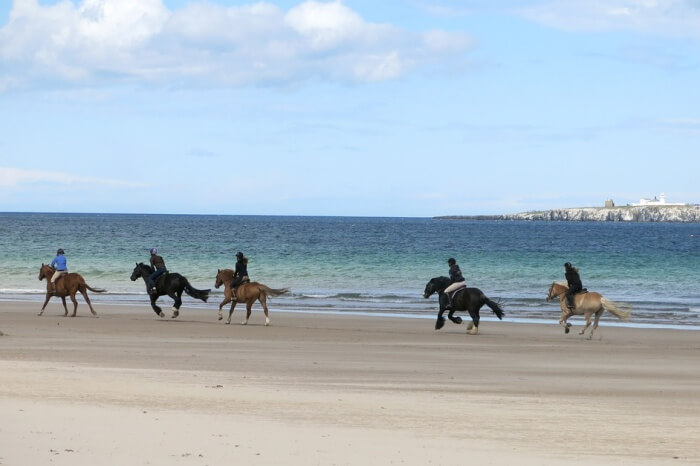 Horse Riding