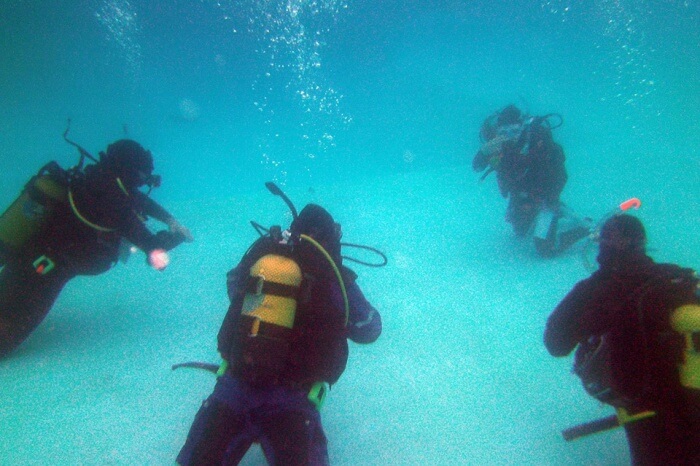 Indigo Divers