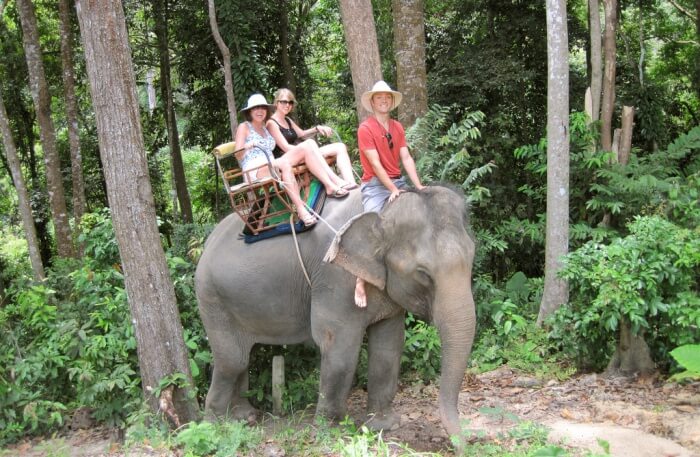 Khao Lak Discovery Elephant Trekking
