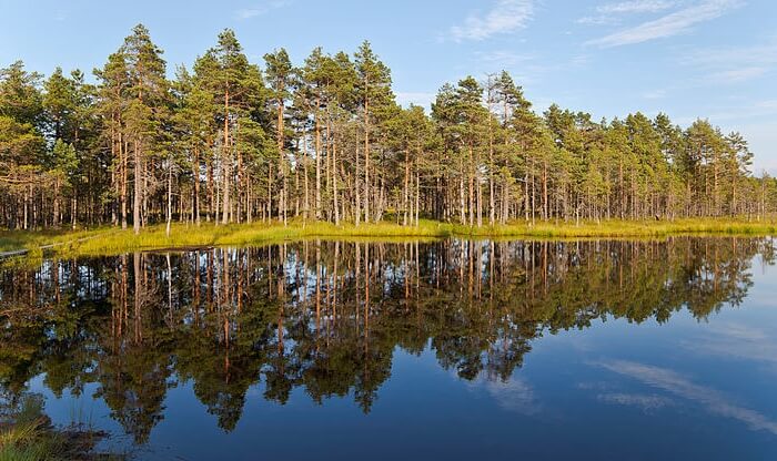 Lake view