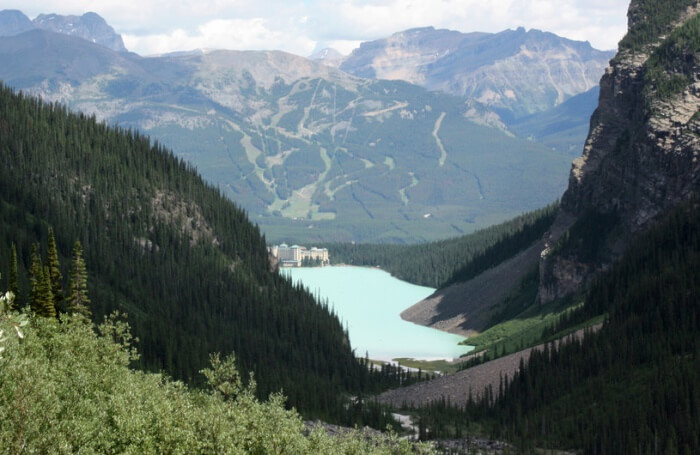 Lake Louise Trail