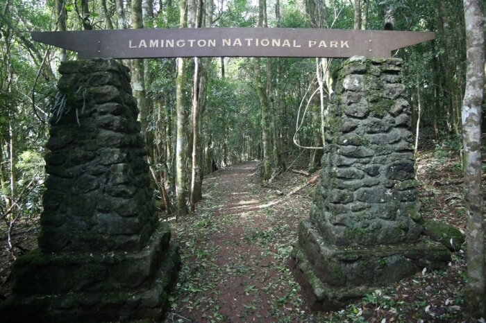 Lamington National Park