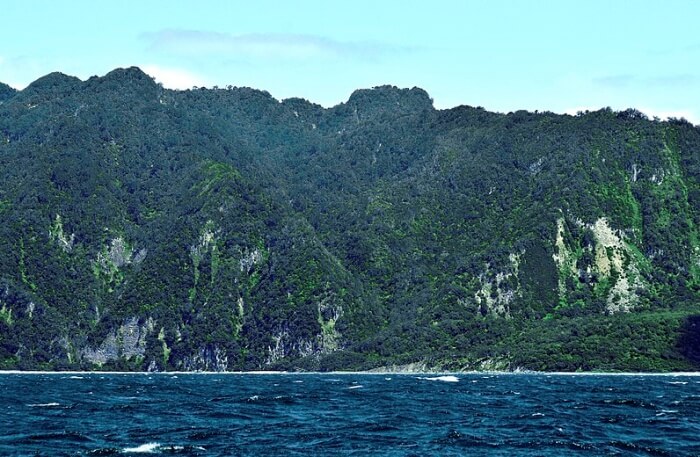 Little Barrier Island