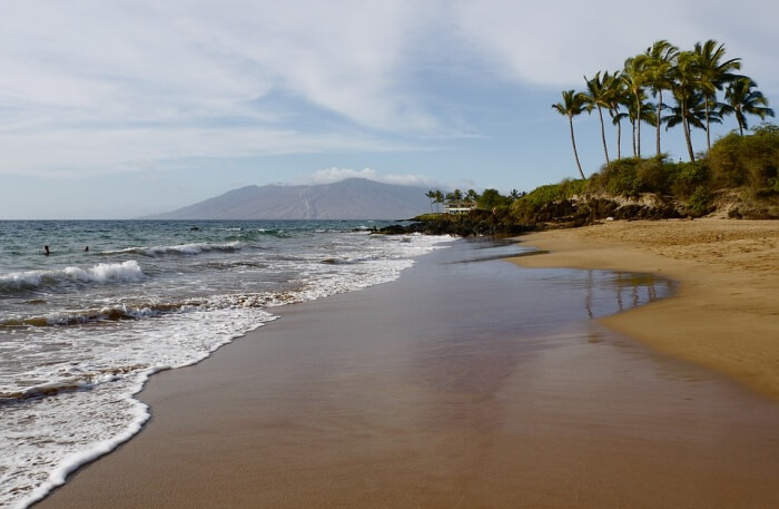 Mixture Of Golden And Black Volcanic Sand