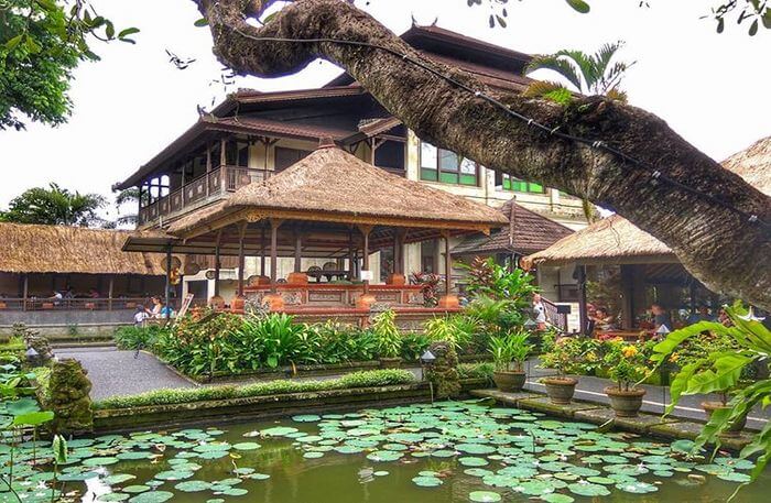Lotus Pond Café