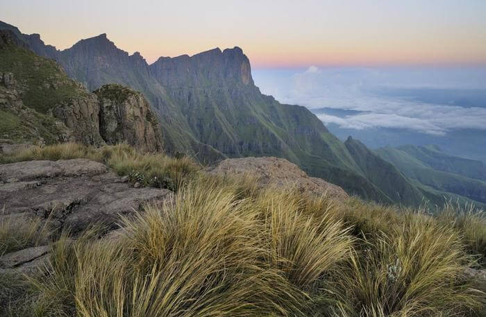 Grass on mountain