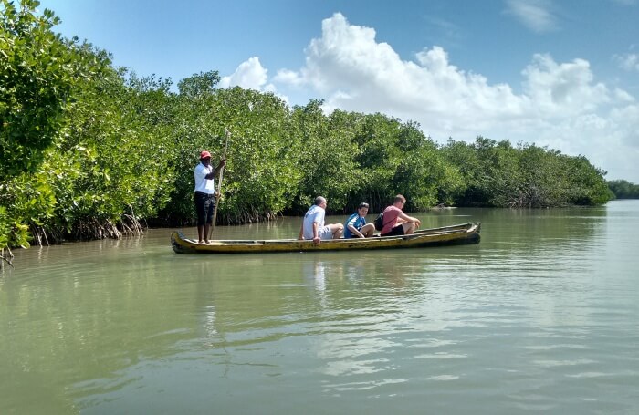 Mangroves Tour