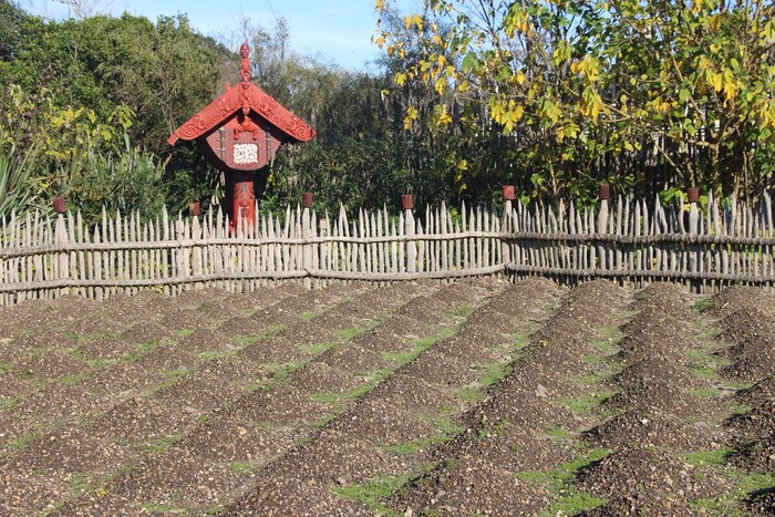 Maori Village