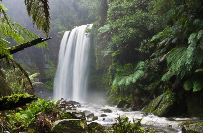 Masons Falls
