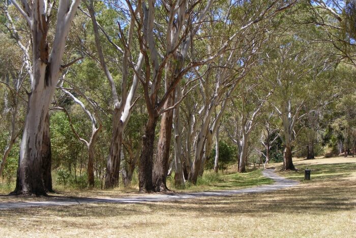Morialta Conservation Park