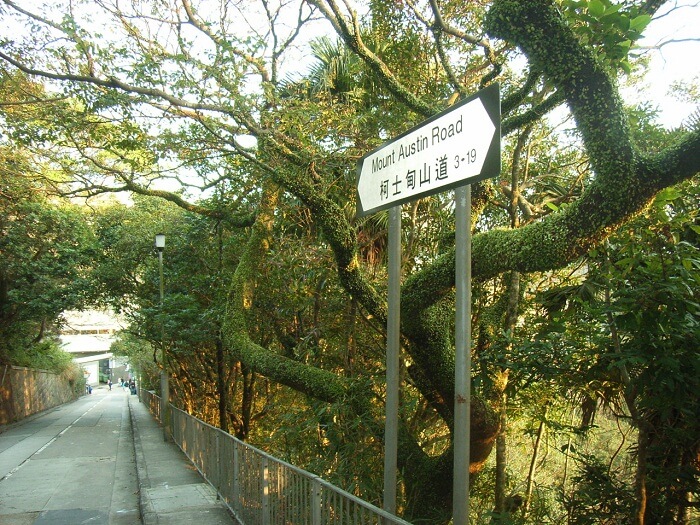 road to mount austin