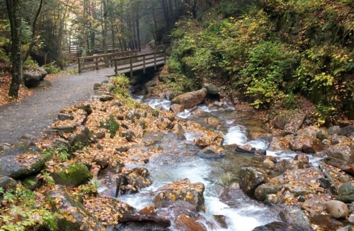 Nature Trail