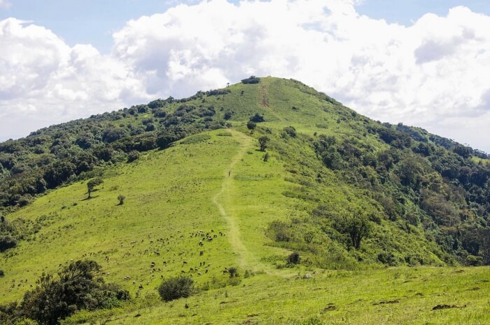 Ngong Hills