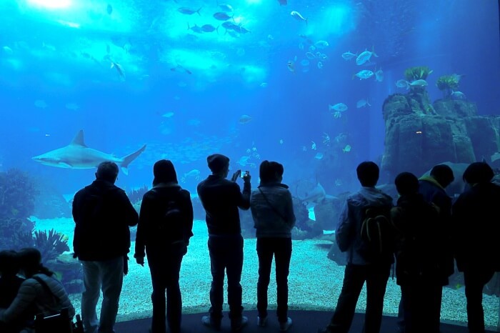 Oceanario De Lisboa