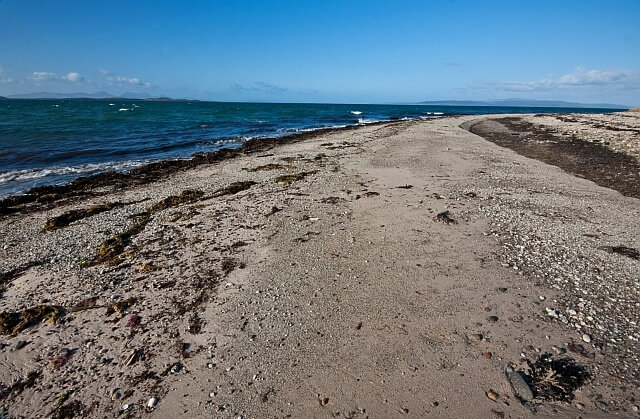 Partridge Point