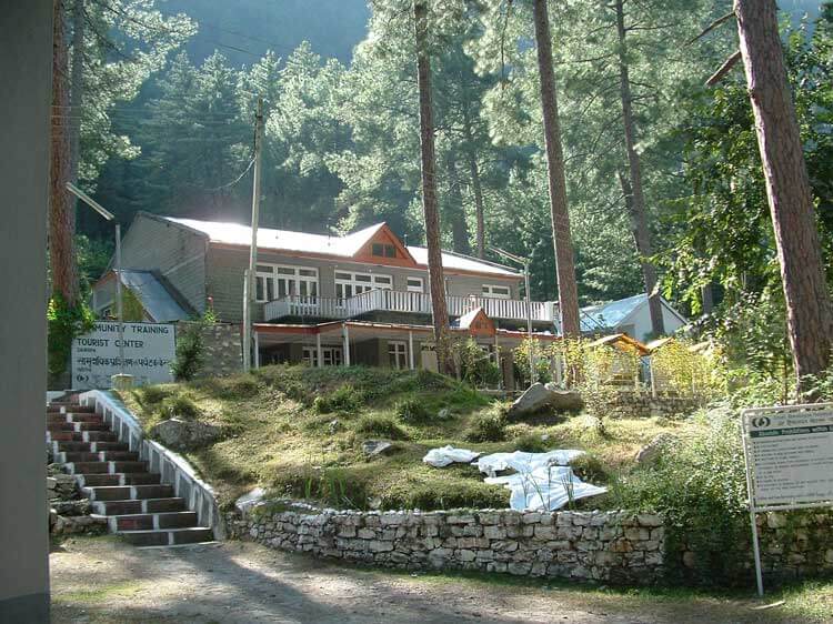 a small guest house in a jungle