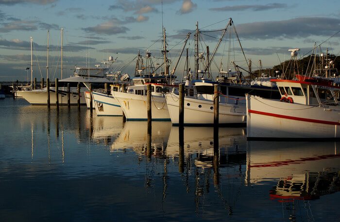 Port view