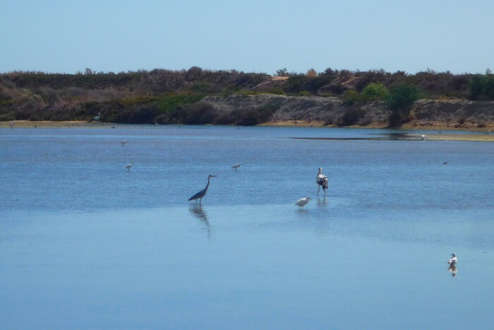 Ria Formosa Natural Park