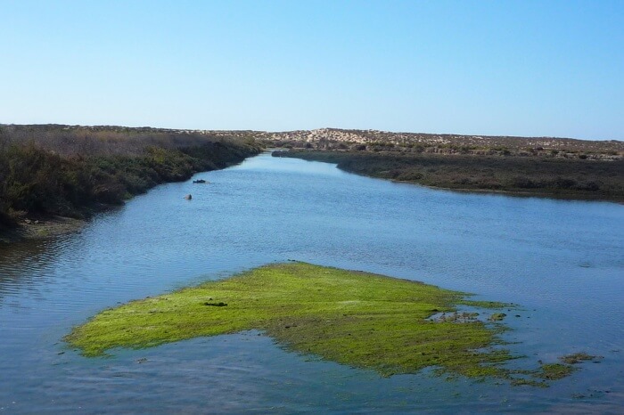 Ria Formosa
