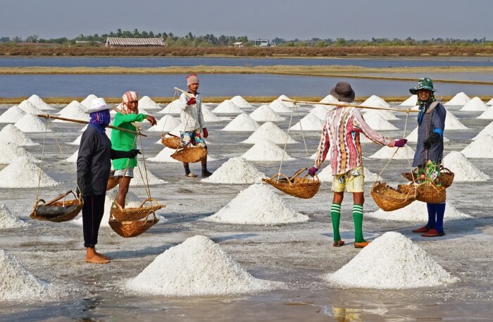 Salt farming view
