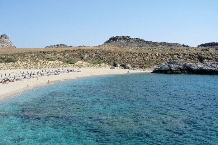 Schinaria