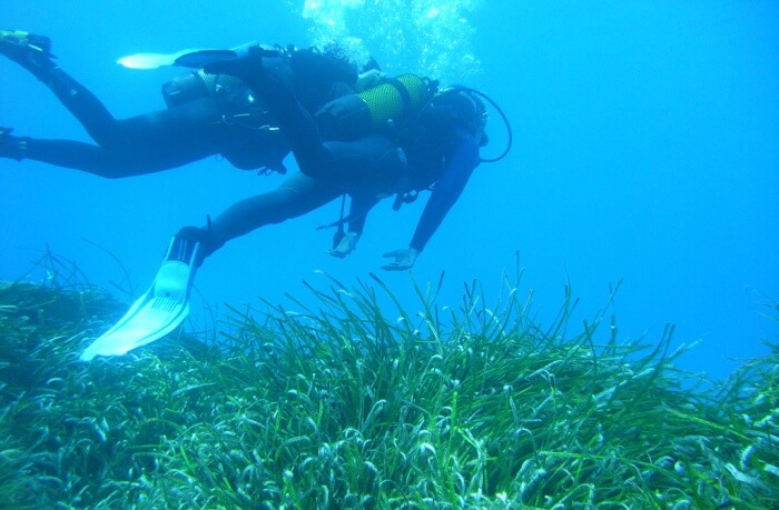 Scuba Diving