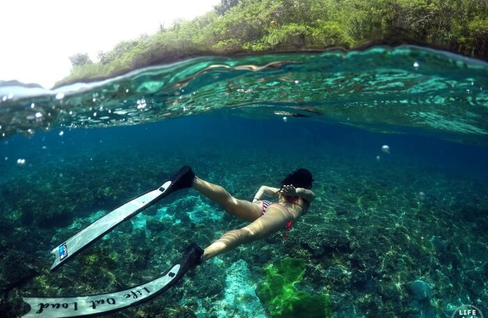 Snorkeling