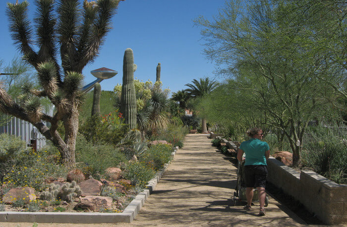 Springs Preserve