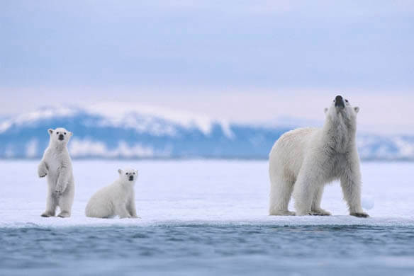 Svalbard