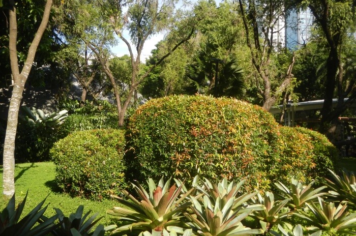 Take a blissful stroll in the parks of Makati