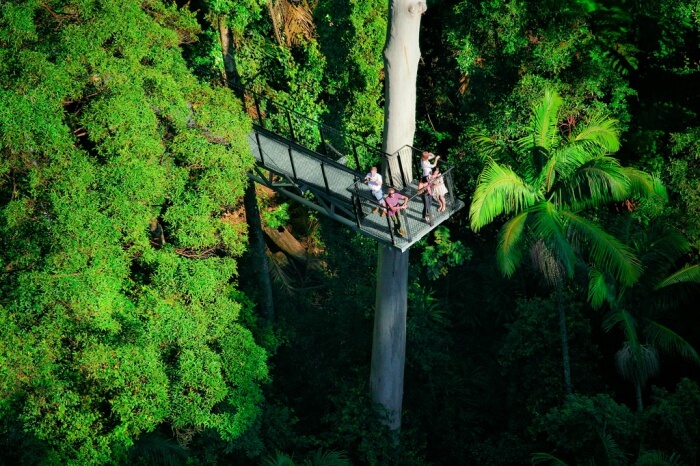 Tamborine National Park