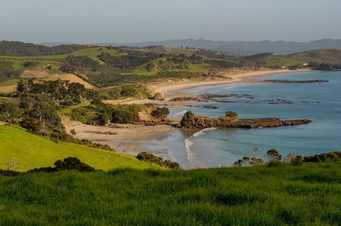 Tawharanui Regional Park Tour