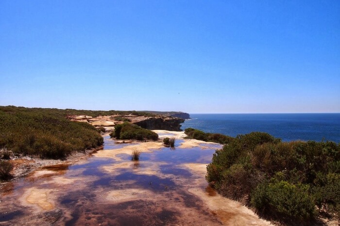 The Royal National Park Coast Track