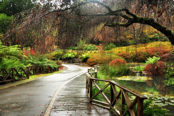 The Dandenong Ranges