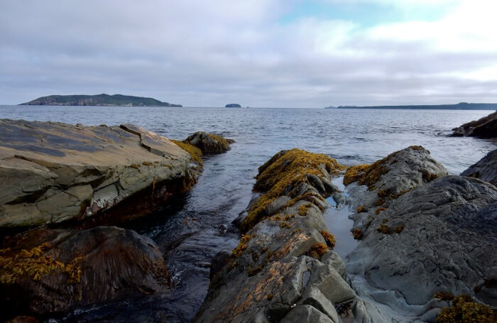 The East Coast Trail