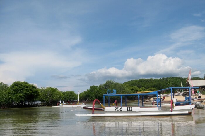 The Mangroves
