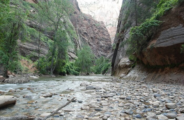 Narrows Trek Trail View