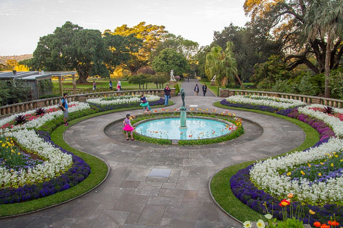 The Royal Botanical Garden