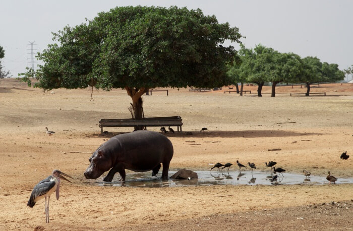 Tips For Visiting Ramat Gan National Park